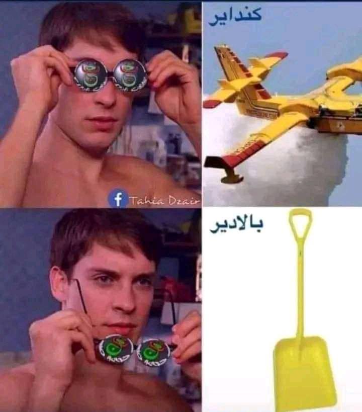 تبون يأمر بتسريع عملية اقتناء طائرات إطفاء الحرائق